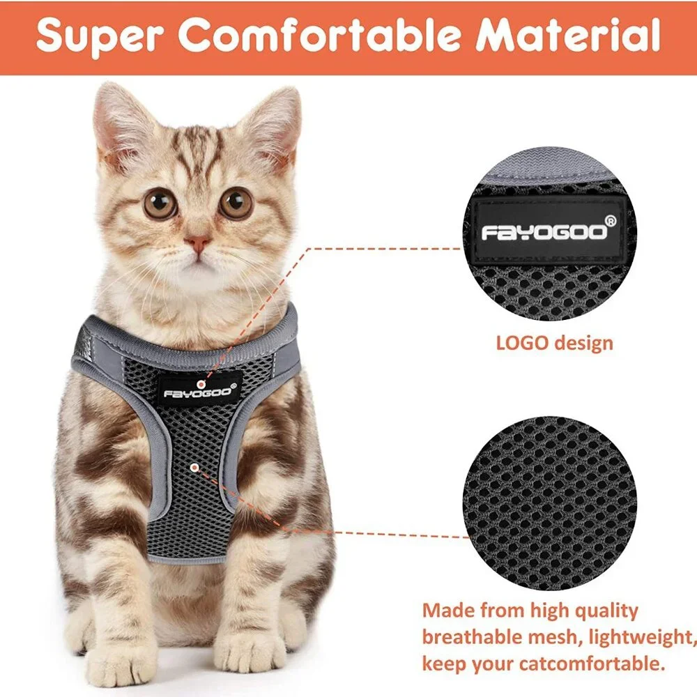 Kitten harnesses and leash set